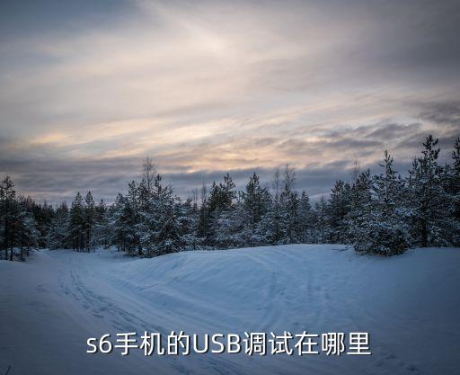 金立s6的数据线口多宽,金立s6怎么拆?