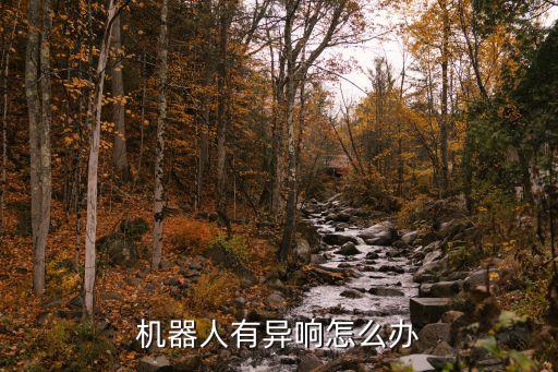机器人有异响怎么办