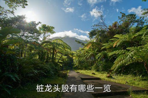 桩龙头股有哪些一览