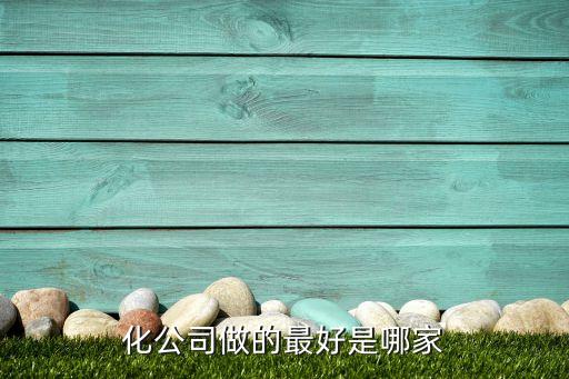 化公司做的最好是哪家