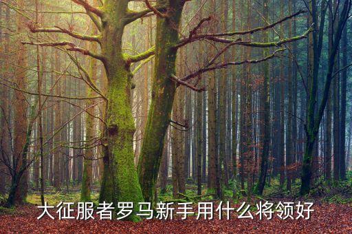骑将,骑将怎么玩?看看这里!