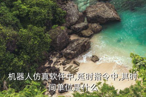 机器人仿真软件中,延时指令中,其时间单位是什么