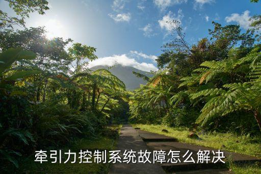 牵引力控制系统故障怎么解决