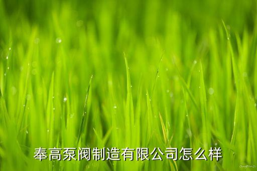 奉高泵阀制造有限公司怎么样