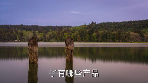 西门子公司自动化系统产品,哪里可以找到工业自动化产品?