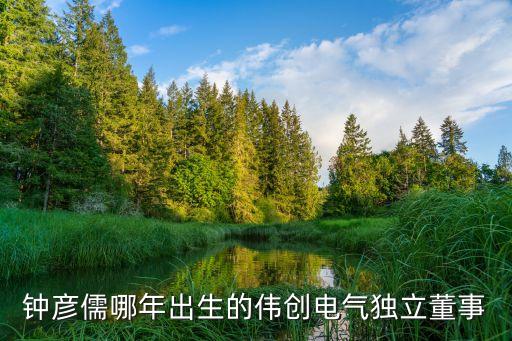 纬创自动化专业