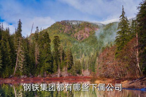 钢铁集团都有哪些下属公司