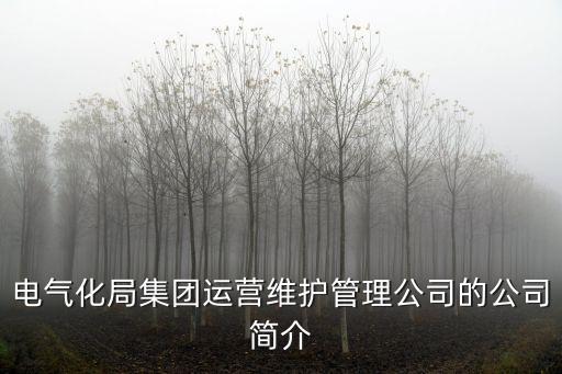 津诚电气自动化,桐乡成控电气自动化