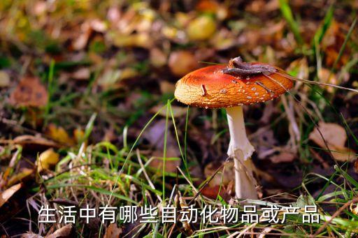 生活中有哪些自动化物品或产品