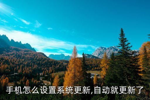 手机怎么设置系统更新,自动就更新了