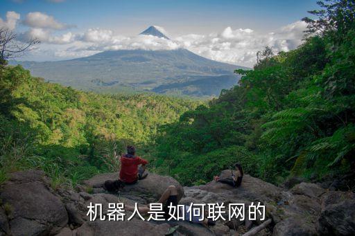 机器人是如何联网的