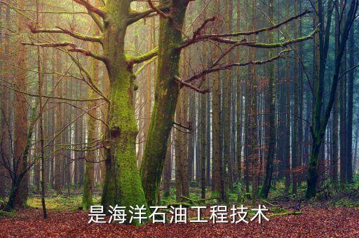是海洋石油工程技术