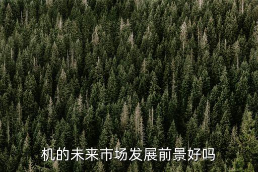 机的未来市场发展前景好吗
