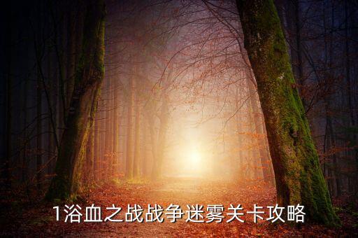 1浴血之战战争迷雾关卡攻略