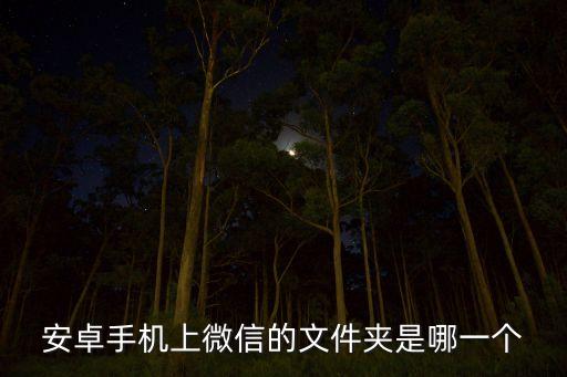 安卓手机上微信的文件夹是哪一个