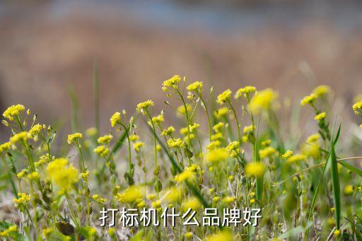 重庆自动化激光打标公司,激光非标准自动化