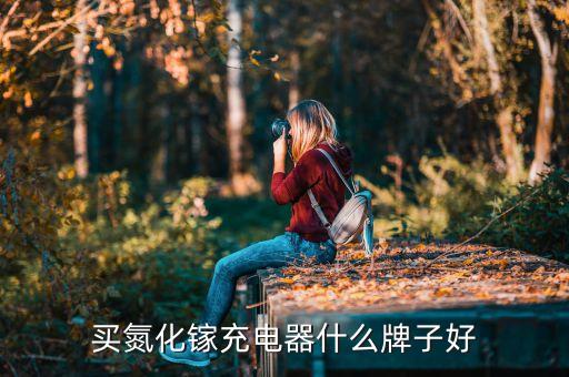 买氮化镓充电器什么牌子好