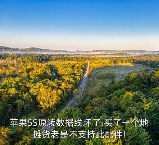 5s数据线原装的吗,苹果5s原装数据线是多长?一米长的?