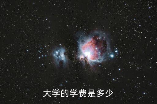 大学的学费是多少