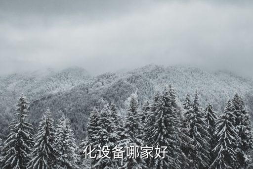 化设备哪家好