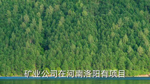 首钢矿业公司自动化研究所,矿业pg电子娱乐平台的简介模板