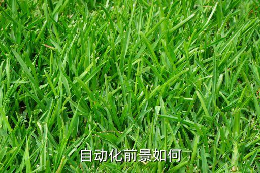 自动化前景如何
