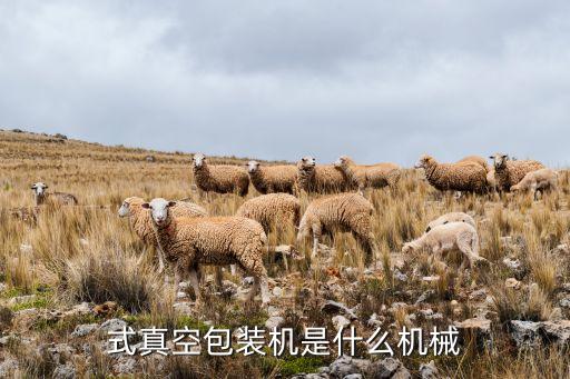 式真空包装机是什么机械