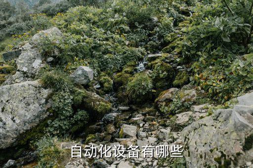 自动化设备有哪些
