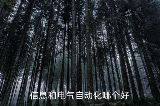 信息和电气自动化哪个好