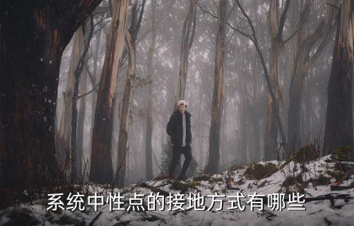 系统中性点的接地方式有哪些