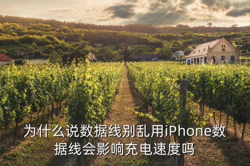 用到苹果数据线,苹果数据线怎么选?