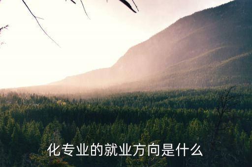 化专业的就业方向是什么