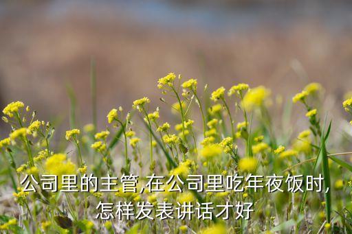 公司里的主管,在公司里吃年夜饭时,怎样发表讲话才好