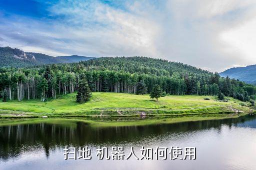 扫地狗扫地机器人视频,是扫地机器人好还是手推扫地机器人好
