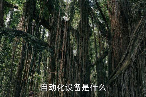 辽宁ccd自动化检测设备定制,小型ccd自动检测设备