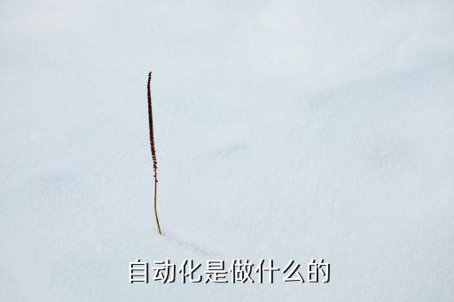 自动化是做什么的