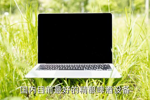 国内目前最好的精酿啤酒设备
