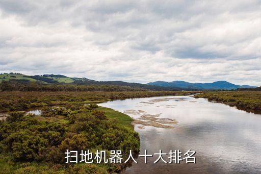 扫地机器人十大排名