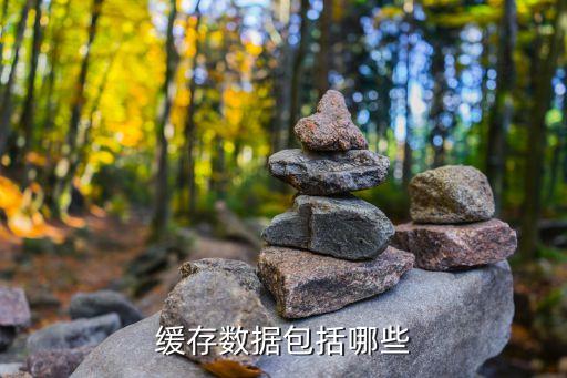 缓存数据包括哪些