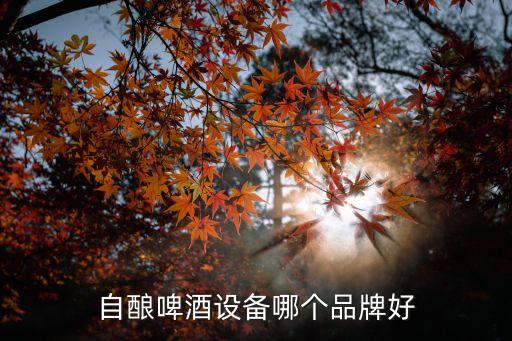 自酿啤酒设备哪个品牌好