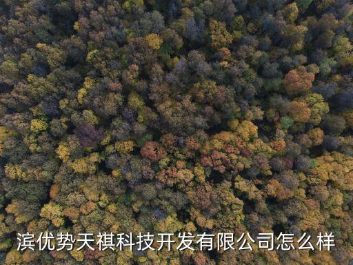 滨优势天祺科技开发有限公司怎么样