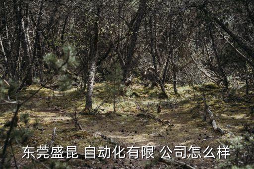 东莞盛昆 自动化有限 公司怎么样