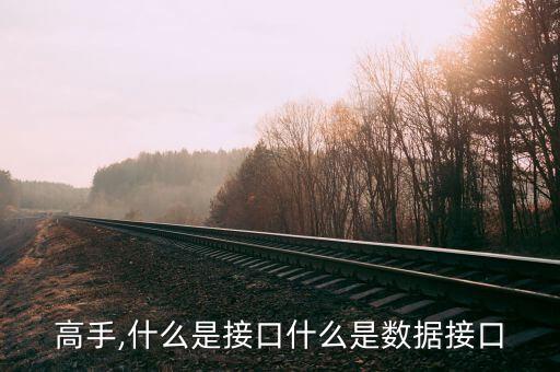 高手,什么是接口什么是数据接口