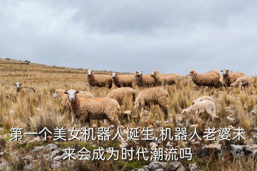 第一个美女机器人诞生,机器人老婆未来会成为时代潮流吗