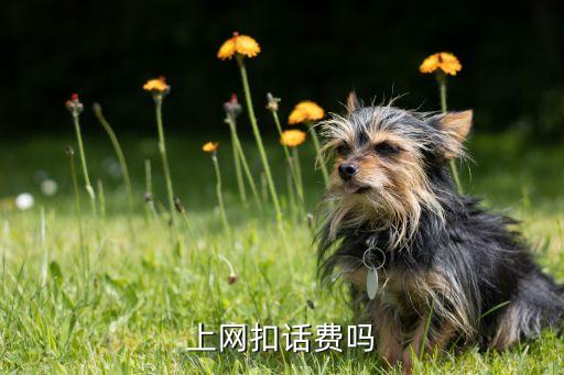 数据流量费全球最贵,全球流量费