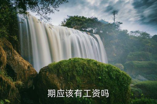 期应该有工资吗