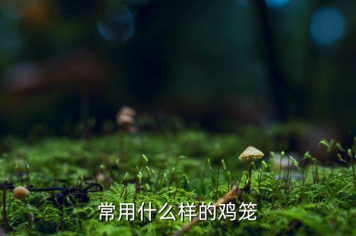 福建自动化鸡笼设备配件,鸡舍自动饲养设备价格