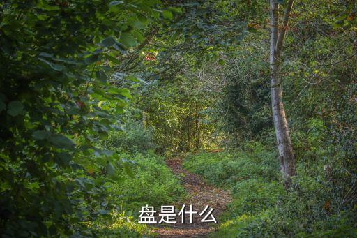 盘是什么