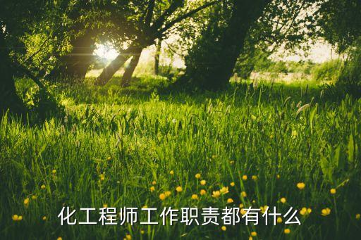 化工程师工作职责都有什么