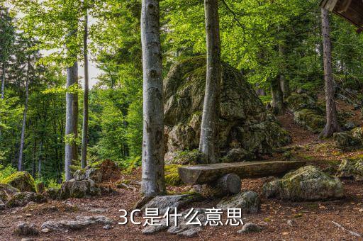 3c是什么意思